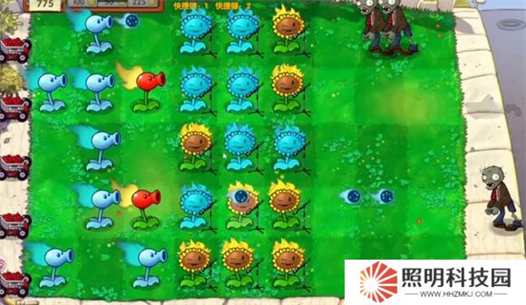 植物大戰僵尸啟命版1.0