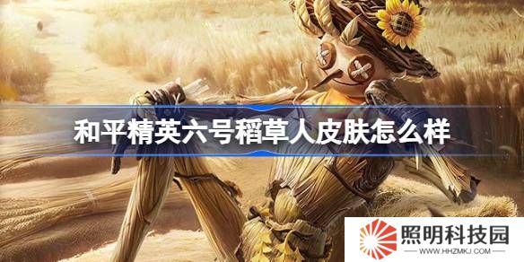 和平精英六號(hào)稻草人怎么樣-和平精英六號(hào)稻草人皮膚價(jià)格