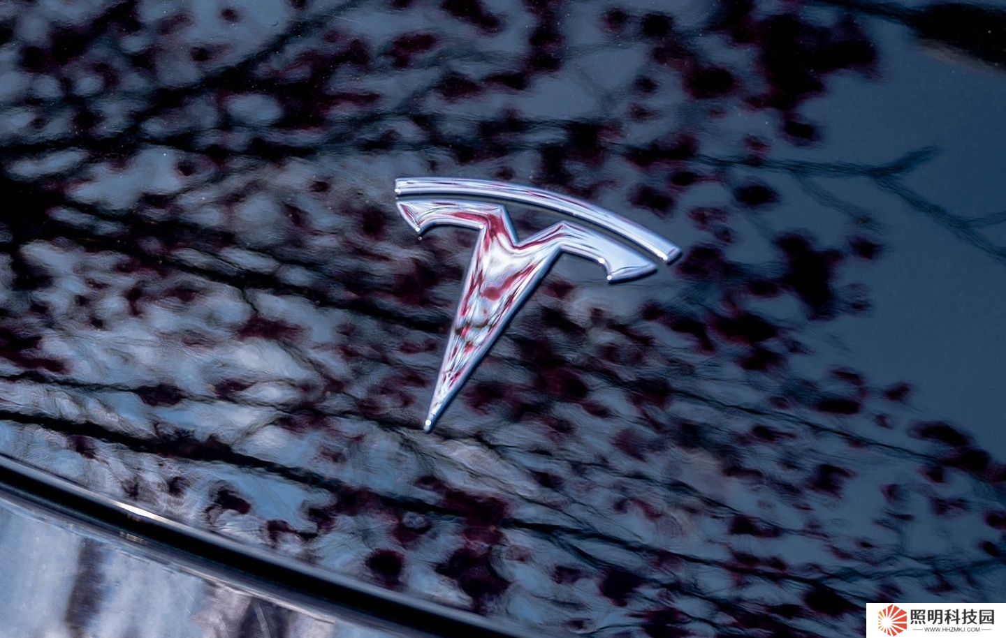 特斯拉多頭分析師大幅下調(diào)該公司目標(biāo)價，稱馬斯克引發(fā)品牌危機