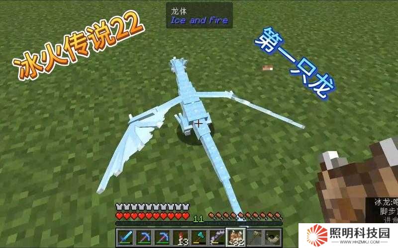 冰封禁地終極挑戰突破冰原守衛者冰龍蛋獲取秘籍，解鎖零失誤攻略制霸極寒之境