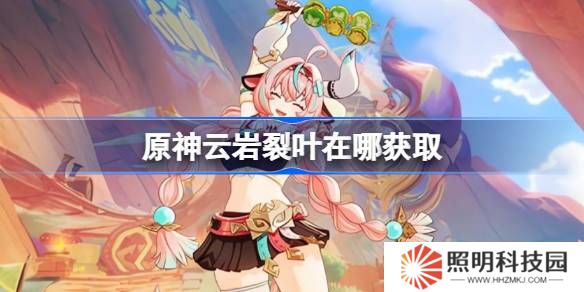 原神云巖裂葉在哪獲取-原神云巖裂葉位置大全
