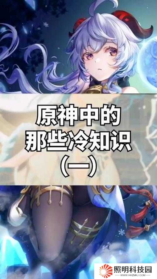 原神新手必看，前期有哪些實用知識能助你快速成長？