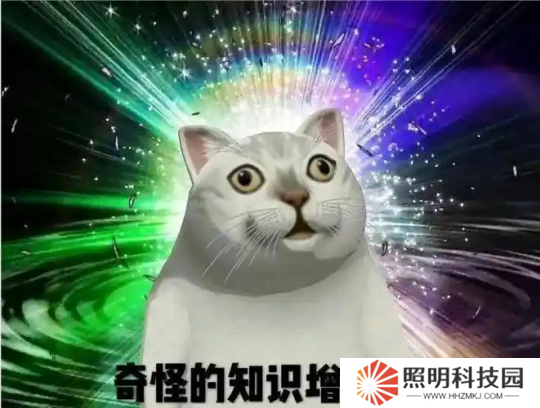 黃金服又雙叒叕發錢了，全服搶12個裝備位，榜首直接成網易股東