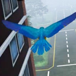 生存競賽v1.0安卓版